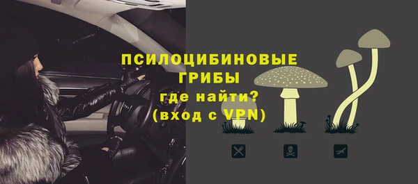 spice Абинск