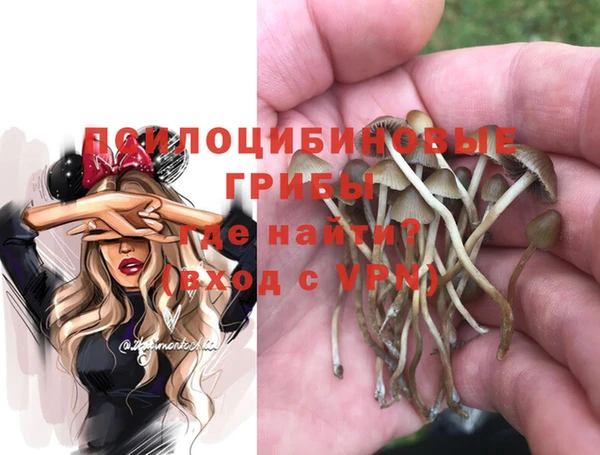 spice Абинск