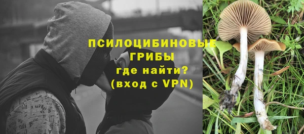сатива Нефтегорск