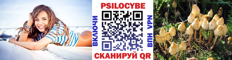 Галлюциногенные грибы MAGIC MUSHROOMS  Терек 