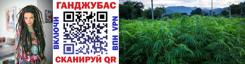 Шишки марихуана White Widow Терек